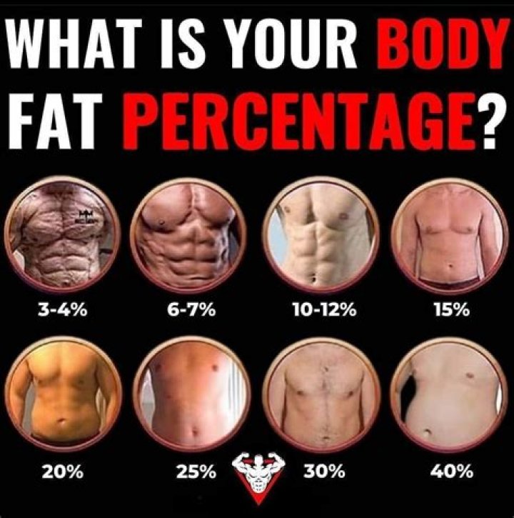 Fat Percentage, Fitness, And Beyond